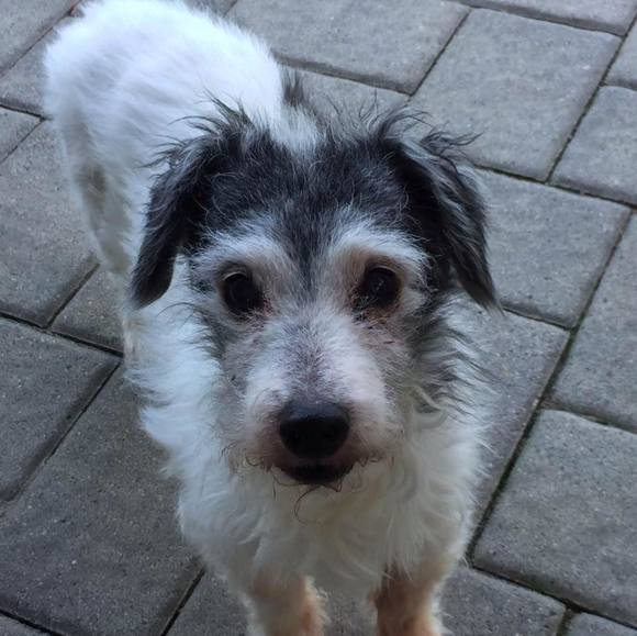 Meet your Posher, Ellen - Picture 1 of 1